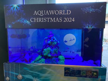 アクアワールド茨城県大洗水族館に投稿された画像（2024/12/8）