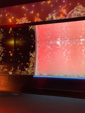 アクアワールド茨城県大洗水族館に投稿された画像（2024/12/8）