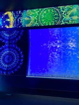 アクアワールド茨城県大洗水族館に投稿された画像（2024/12/8）