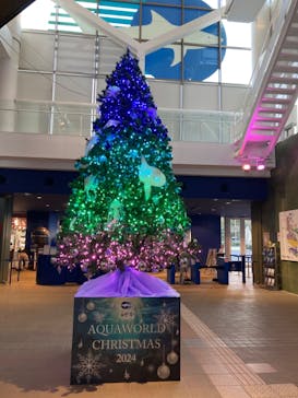 アクアワールド茨城県大洗水族館に投稿された画像（2024/12/8）