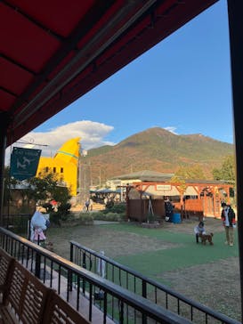 つくばわんわんランドに投稿された画像（2024/12/8）