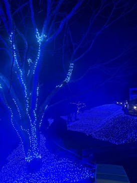 NESTA RESORT KOBE（ネスタリゾート神戸）に投稿された画像（2024/12/8）