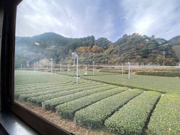 大井川鐵道株式会社に投稿された画像（2024/12/8）