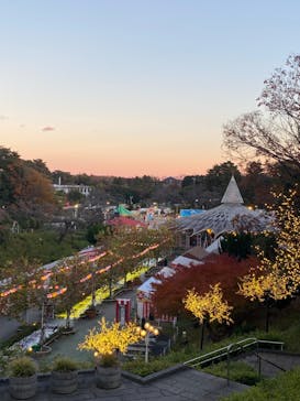 西武園ゆうえんちに投稿された画像（2024/12/8）