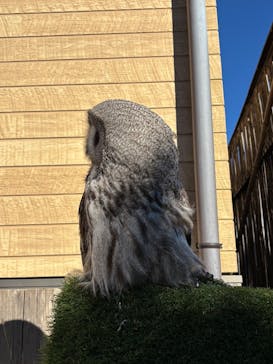 伊豆シャボテン動物公園に投稿された画像（2024/12/8）