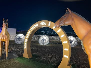 東京メガイルミに投稿された画像（2024/12/8）