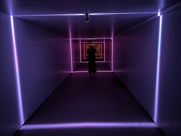 東京メガイルミに投稿された画像（2024/12/8）