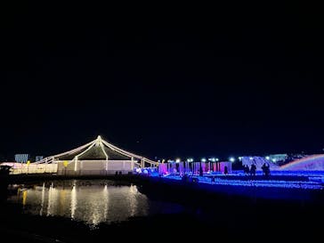 東京メガイルミに投稿された画像（2024/12/8）