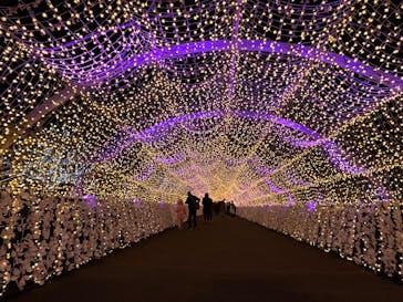 東京メガイルミに投稿された画像（2024/12/8）