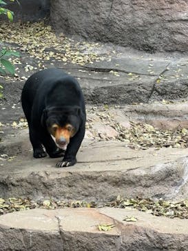 天王寺動物園に投稿された画像（2024/12/8）