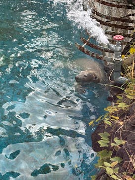 天王寺動物園に投稿された画像（2024/12/8）