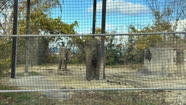 群馬サファリパークに投稿された画像（2024/12/8）