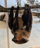 霞ケ浦 どうぶつとみんなのいえに投稿された画像（2024/12/8）