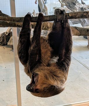 霞ケ浦 どうぶつとみんなのいえに投稿された画像（2024/12/8）