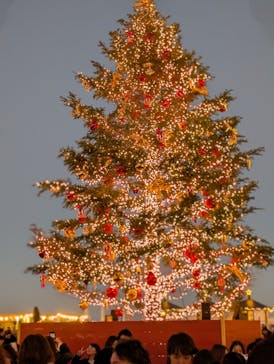 Christmas Market in 横浜赤レンガ倉庫 2025に投稿された画像（2024/12/8）