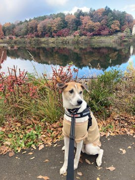 ムーミンバレーパークに投稿された画像（2024/12/8）