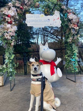 ムーミンバレーパークに投稿された画像（2024/12/8）