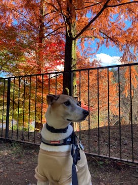 ムーミンバレーパークに投稿された画像（2024/12/8）