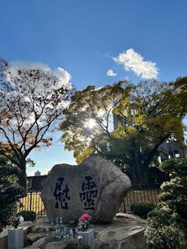 広島平和記念資料館に投稿された画像（2024/12/8）