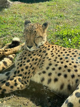 千葉市動物公園に投稿された画像（2024/12/8）