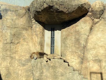 千葉市動物公園に投稿された画像（2024/12/8）