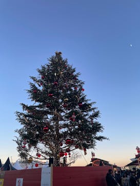 Christmas Market in 横浜赤レンガ倉庫 2025に投稿された画像（2024/12/8）