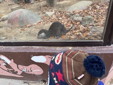 しろとり動物園に投稿された画像（2024/12/8）