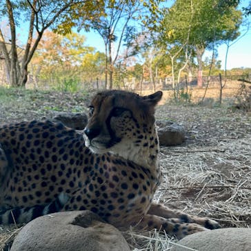 よこはま動物園ズーラシアに投稿された画像（2024/12/8）