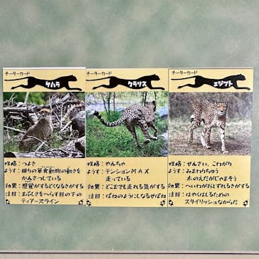 よこはま動物園ズーラシアに投稿された画像（2024/12/8）