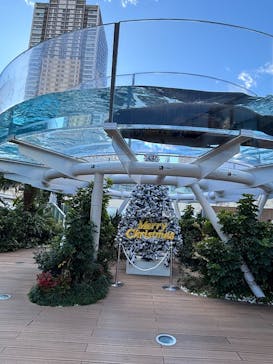 サンシャイン水族館に投稿された画像（2024/12/8）