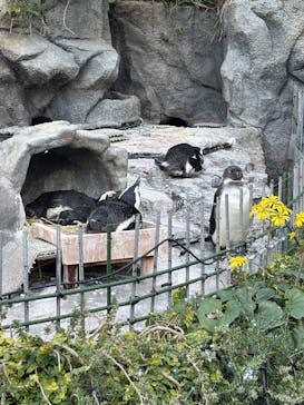 サンシャイン水族館に投稿された画像（2024/12/8）