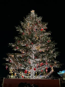 Christmas Market in 横浜赤レンガ倉庫 2025に投稿された画像（2024/12/8）