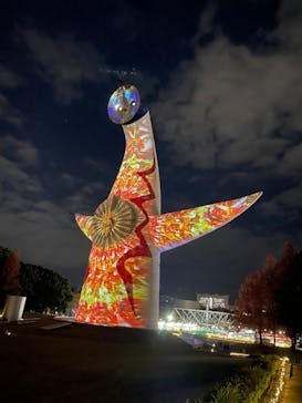 万博記念公園に投稿された画像（2024/12/8）