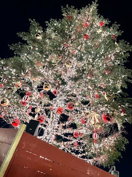 Christmas Market in 横浜赤レンガ倉庫 2025に投稿された画像（2024/12/8）