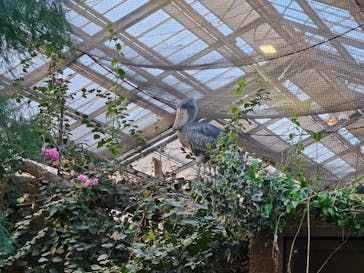 神戸どうぶつ王国に投稿された画像（2024/12/8）