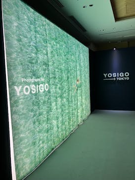YOSIGO 写真展 Holiday Memories - 旅の瞬間 -に投稿された画像（2024/12/9）