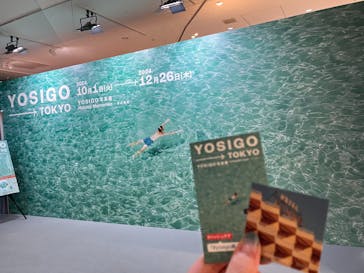 YOSIGO 写真展 Holiday Memories - 旅の瞬間 -に投稿された画像（2024/12/9）