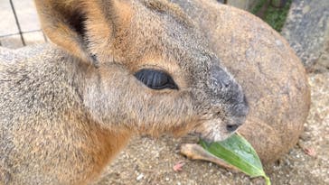 那須どうぶつ王国に投稿された画像（2024/12/9）