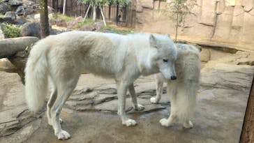 那須どうぶつ王国に投稿された画像（2024/12/9）