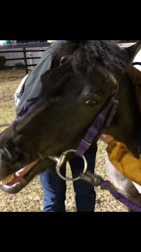 東京メガイルミに投稿された画像（2024/12/9）