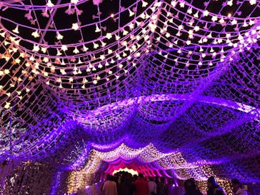 東京メガイルミに投稿された画像（2024/12/9）