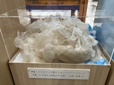 九十九島水族館海きららに投稿された画像（2024/12/9）