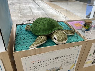 九十九島水族館海きららに投稿された画像（2024/12/9）