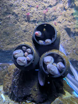 仙台うみの杜水族館に投稿された画像（2024/12/9）
