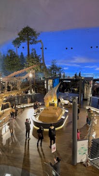 福井県立恐竜博物館に投稿された画像（2024/12/9）