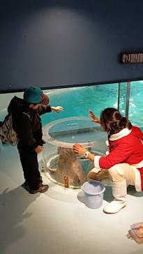 下田海中水族館に投稿された画像（2024/12/9）