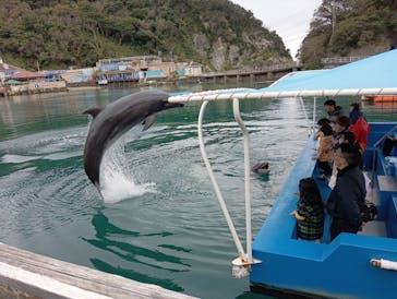 下田海中水族館に投稿された画像（2024/12/9）