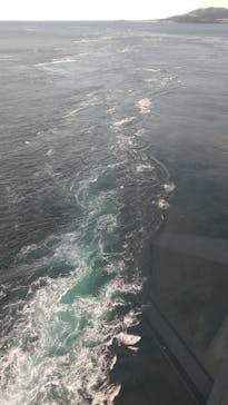 徳島県立 渦の道に投稿された画像（2024/12/9）