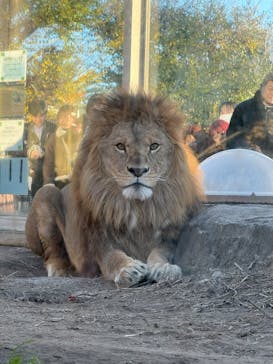 東武動物公園に投稿された画像（2024/12/9）