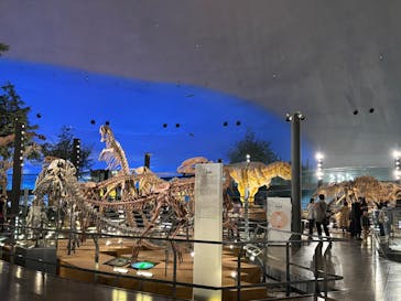 福井県立恐竜博物館に投稿された画像（2024/12/9）